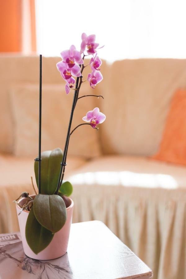 Apartment Dean Umag Bagian luar foto